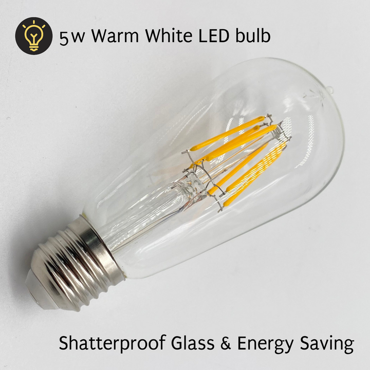 ST58 Clear Bulb | 10m 20 Bulbs | Flush Mount Dimmable Festoon Lights