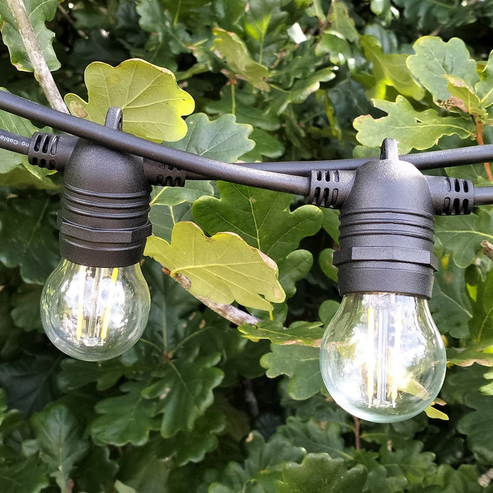 A60 Clear Bulb  | 10m 20 Bulbs | Flush Mount Dimmable Festoon Lights