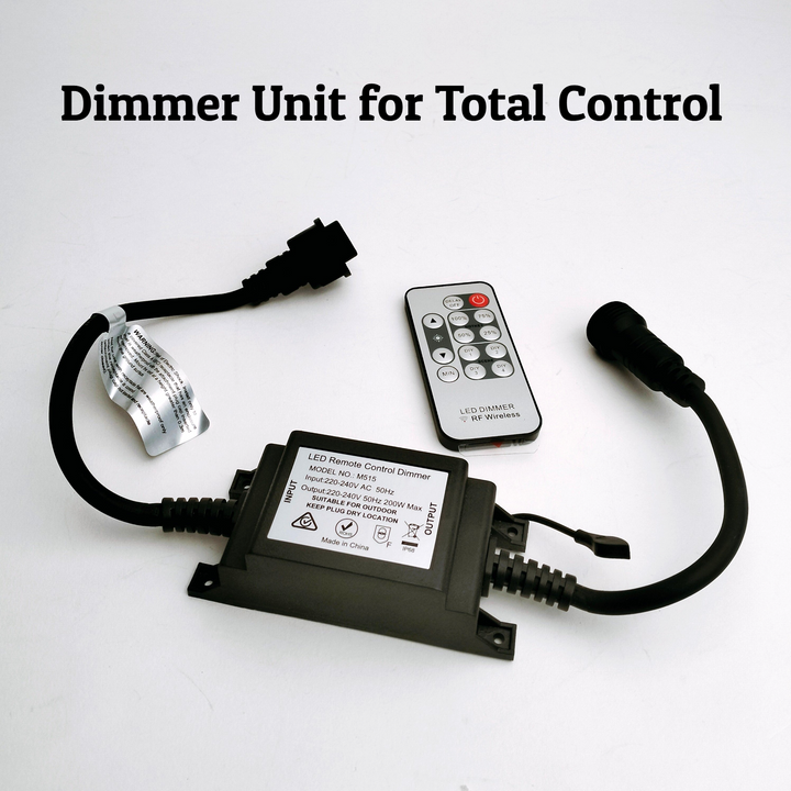 G80 Amber Bulb | 10m 10 Bulbs | Flush Mount Dimmable Festoon Lights