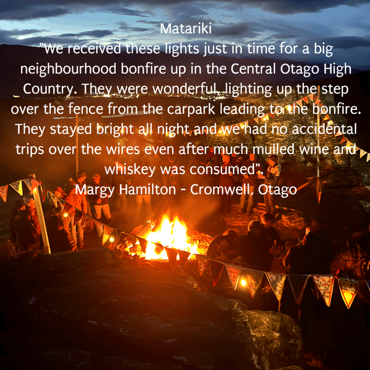 Solar G40 Copper Wire Festoon Lights | 7.6m 25 Bulbs