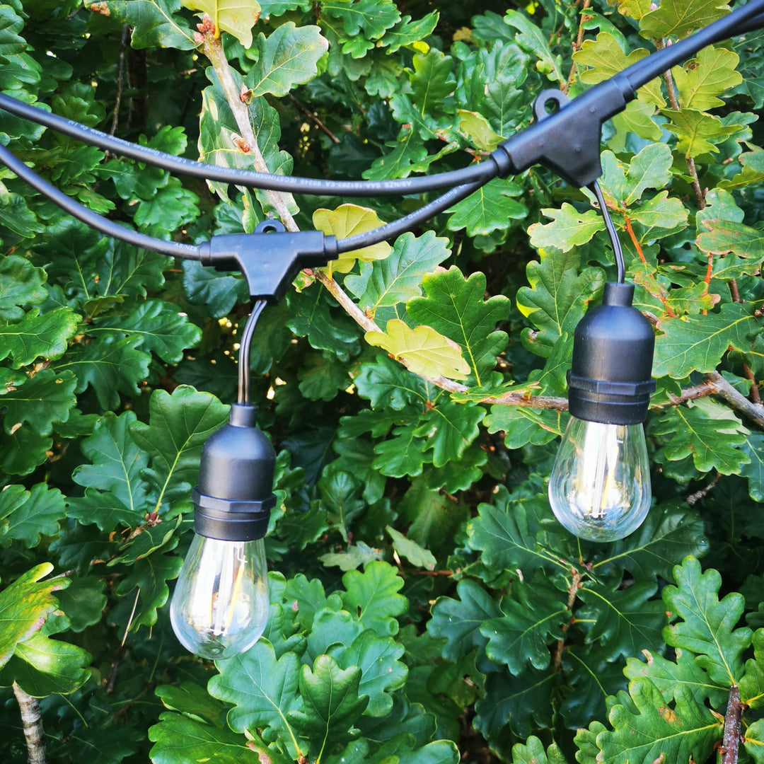 S14 Clear Bulb | 10m 10 Bulbs | Drop Hang | Dimmable Festoon Lights