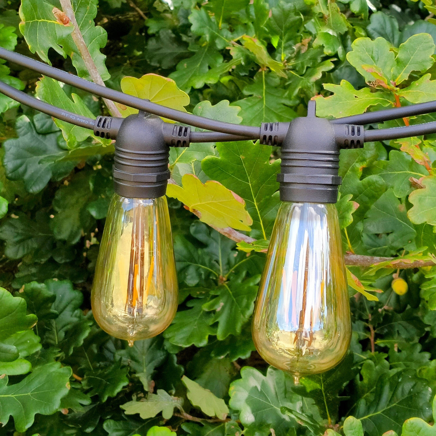 ST58 Amber Drop Hang Connectable Festoon Lights from Love Your Lights