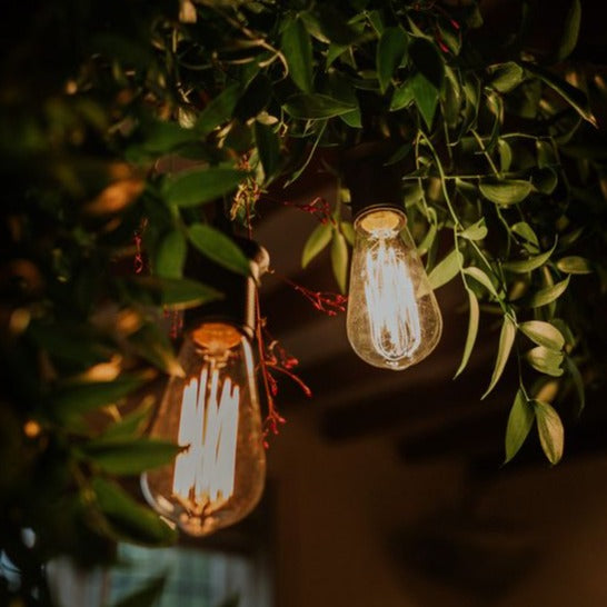 ST58 large globe festoon lights