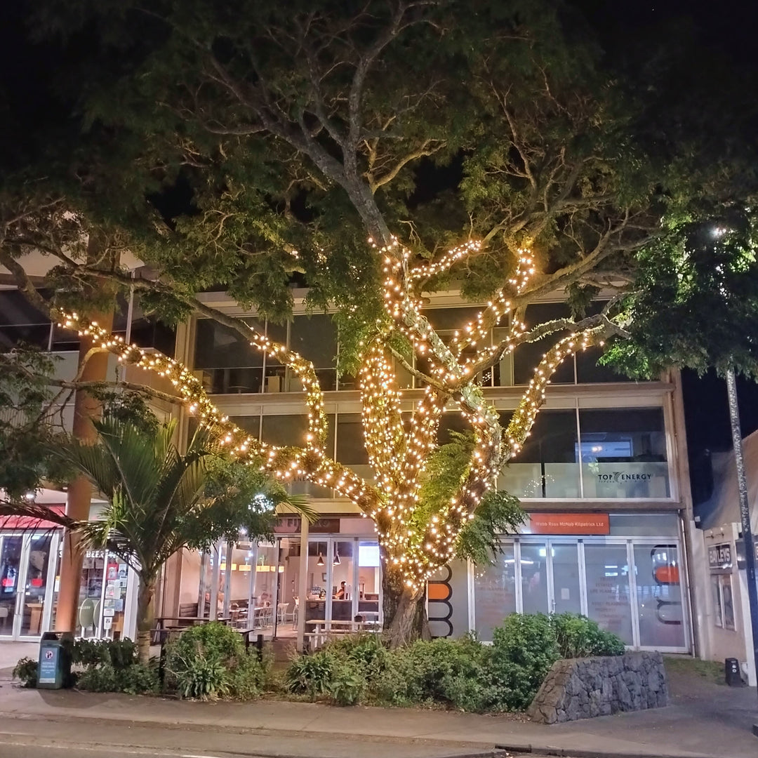 Lighting Up a Community, One Tree at a Time
