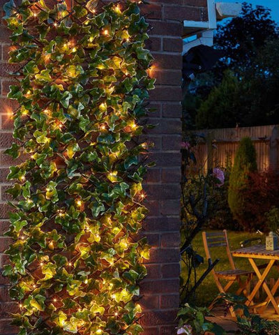 Lighting up your trellis and hedges