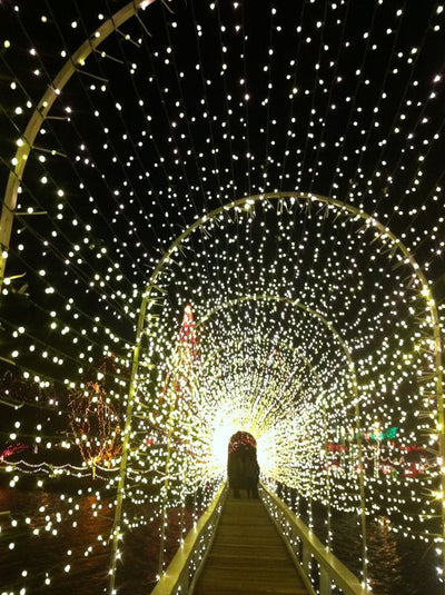 Essential, Core and Fairy Lights Guide