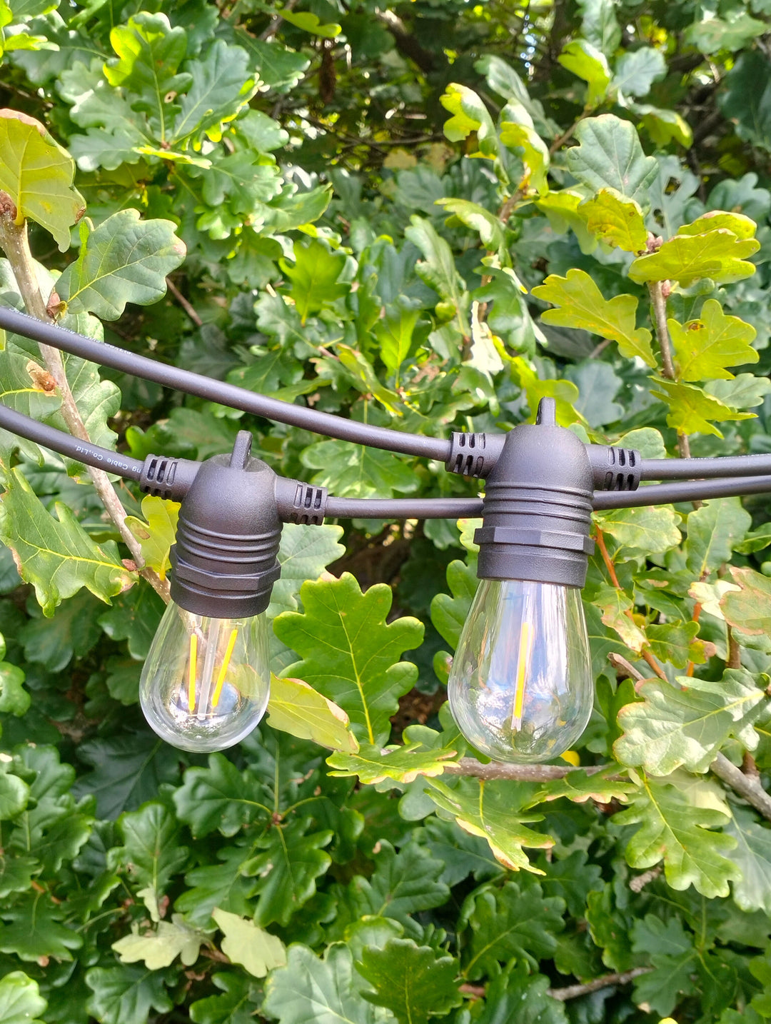 Solar Festoon Lights