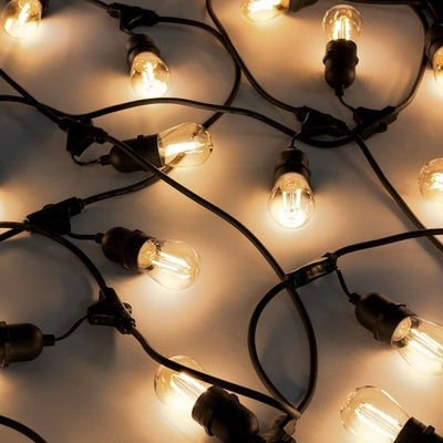 Festoon Lights - All You Need to Know!