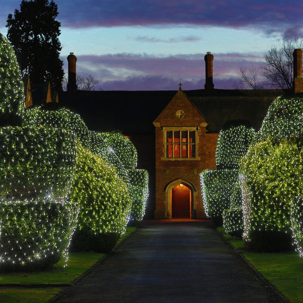 Commercial Net Lights