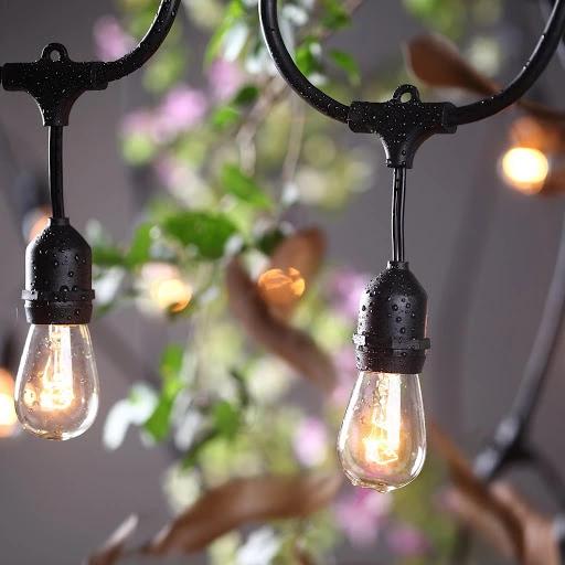 Solar Festoon Lights