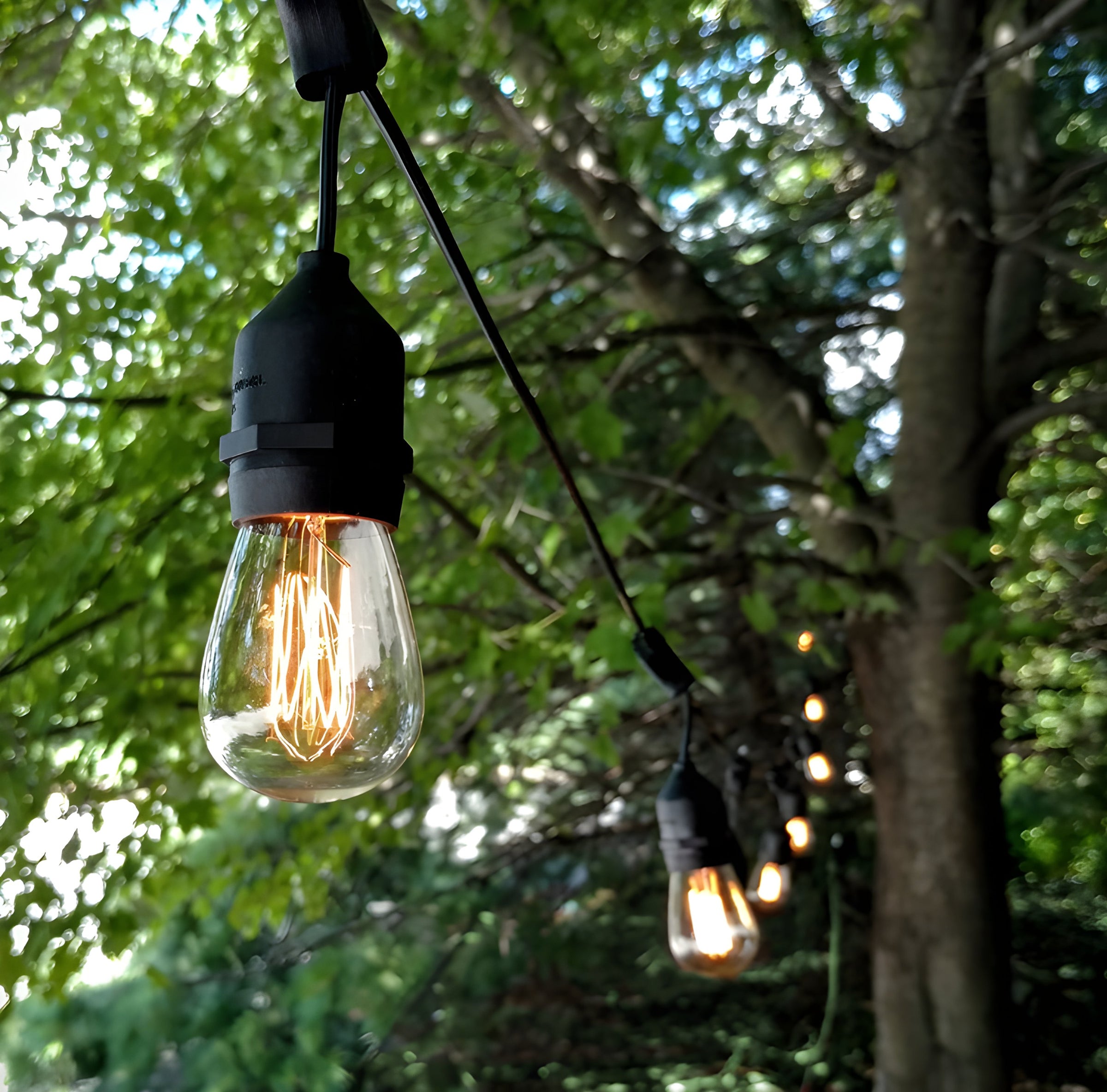 Festoon Lights | 1m Spaced Bulbs | Connectable Drop Hang Style – Love ...