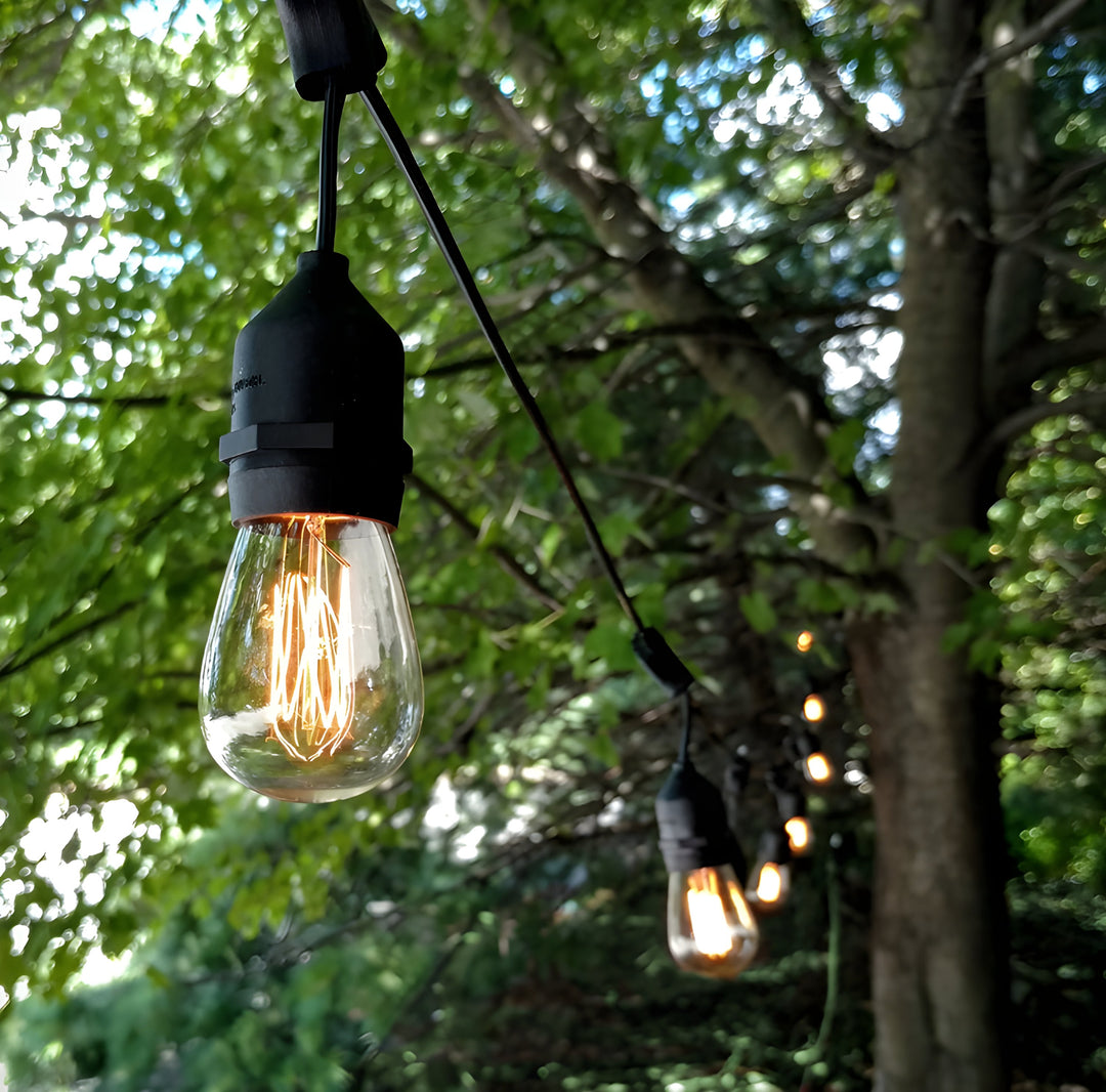 Drop Hang Festoon Lighting