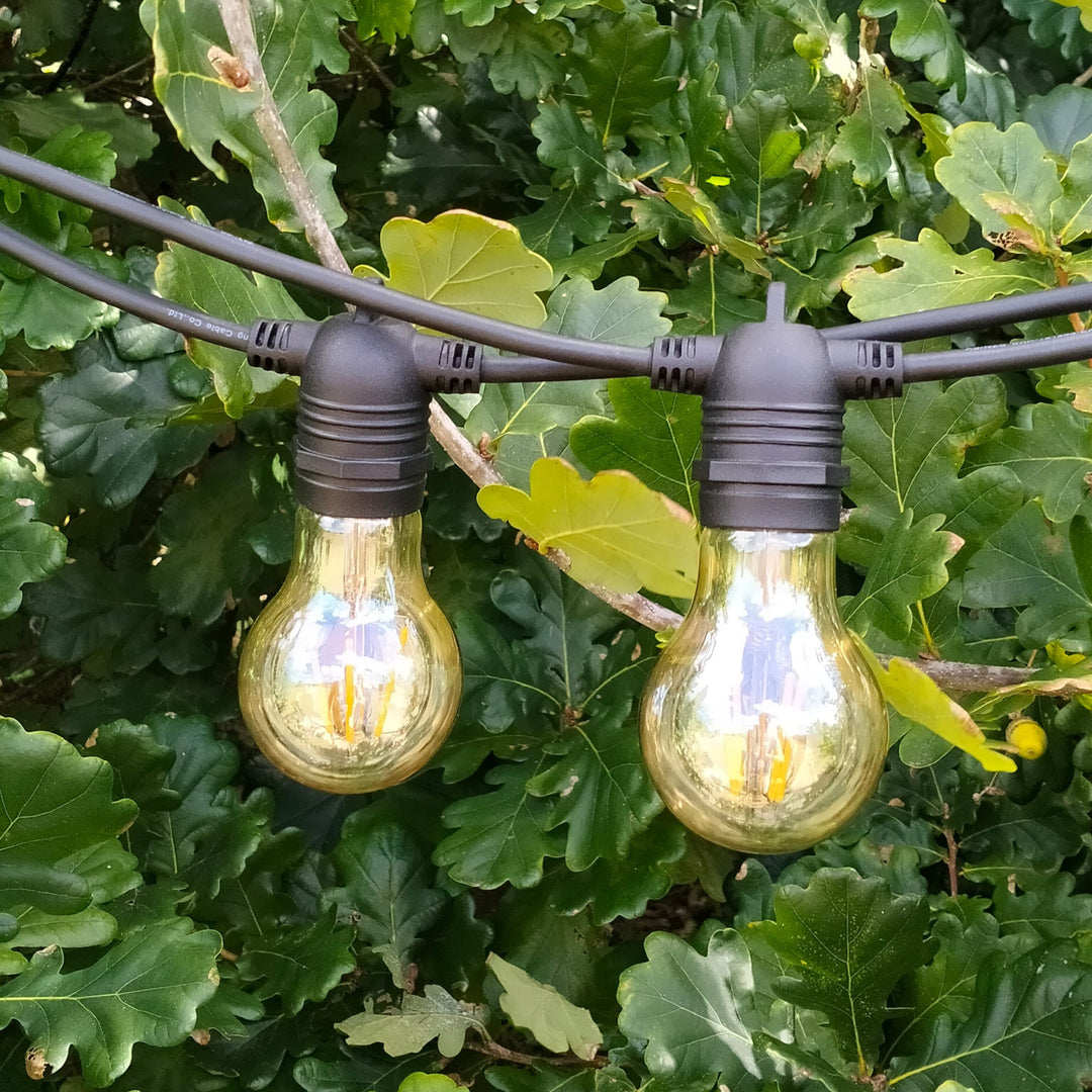 A19 Amber Tinted Festoons - Love Your Lights 