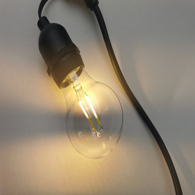 A60 Bulbs_Festoon Lights NZ