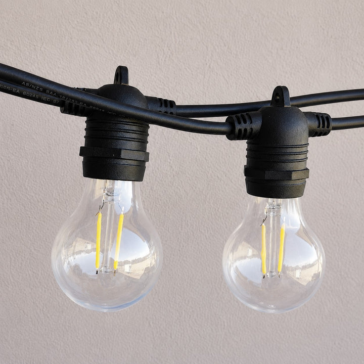 A60 Clear Dimmable Bulbs | 10 Pack