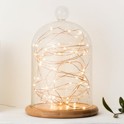 Copper Wire Fairy Lights