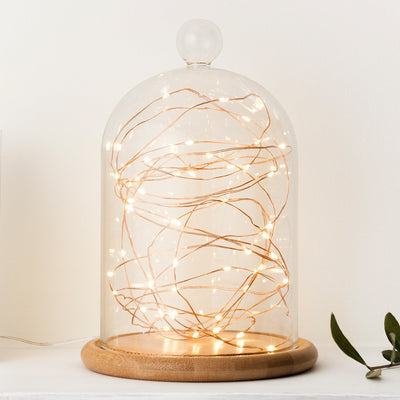 Decorative Indoor Fairy Lights | Copper 10m | USB