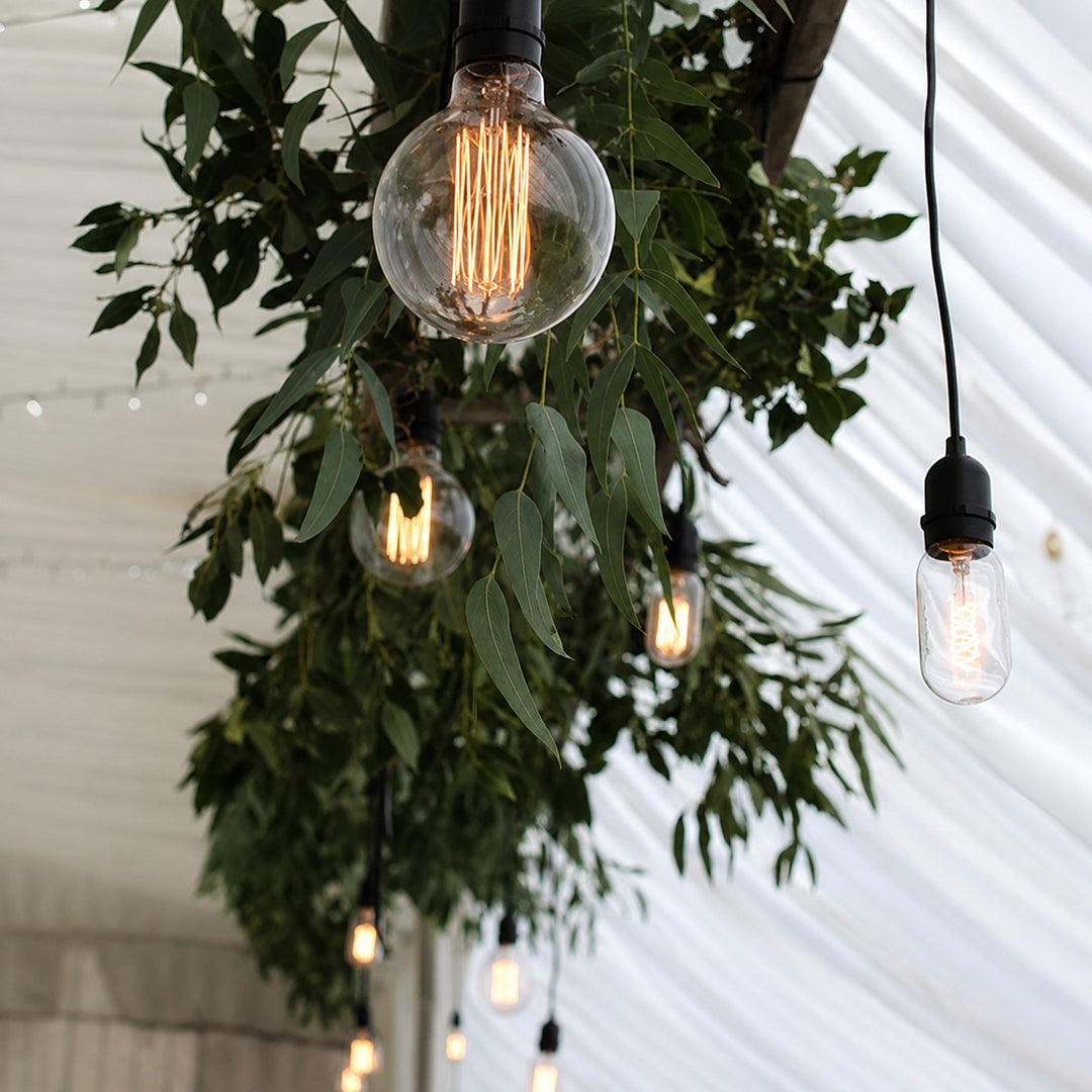 Festoon Dropper