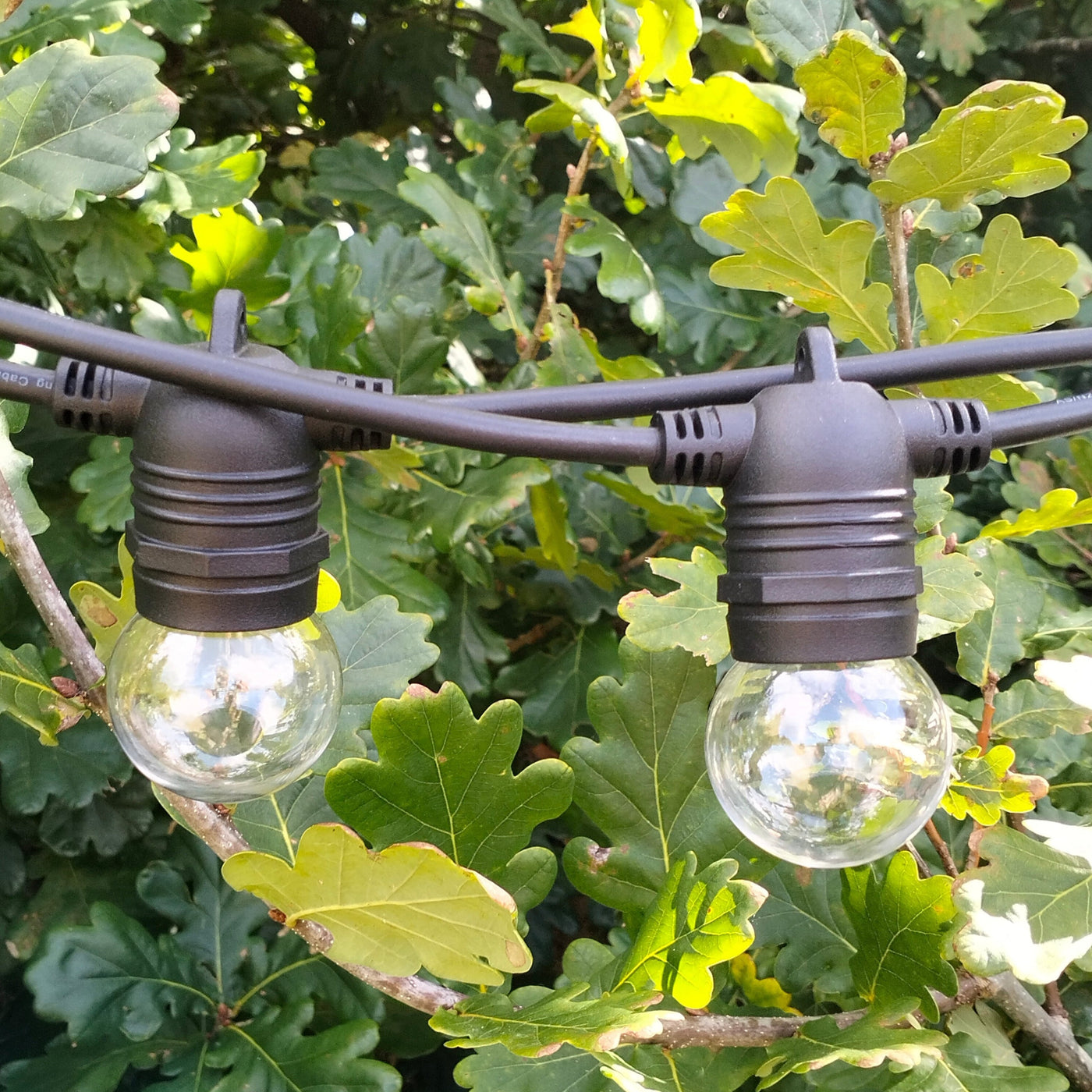 G45 Clear Festoon Lights | 10m 20 Bulbs | Flush Mount