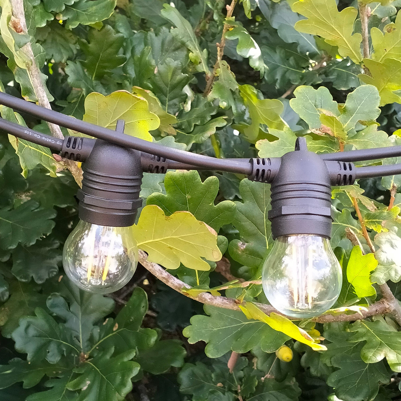 G45 Glass Festoon Lights | 10m 10 Bulbs | Flush Mount