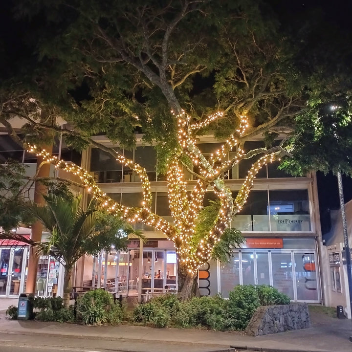 Pro Series | Outdoor Fairy Lights | Black Rubber Cable | Connectable