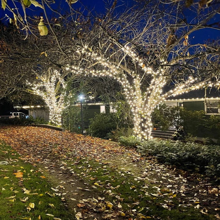 Large Outdoor Fairy Lights Tree Kit | Black Cable | 150m