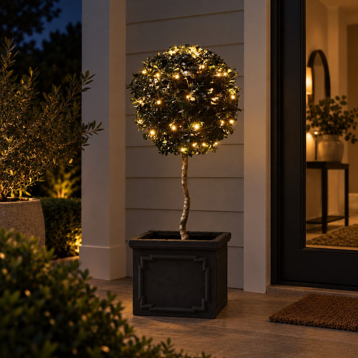 Solar Fairy Lights | 10m