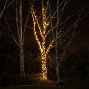 fairy lights