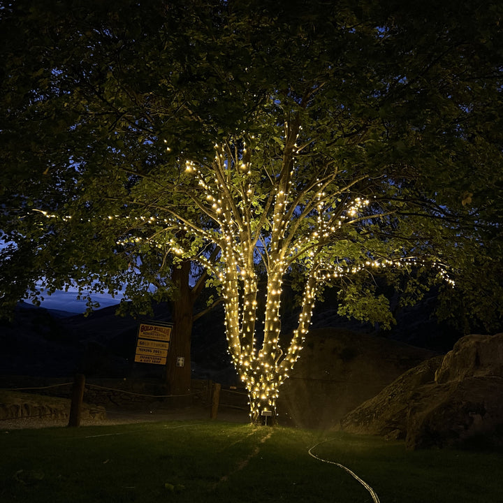 Large Outdoor Fairy Lights Tree Kit | Black Cable | 150m