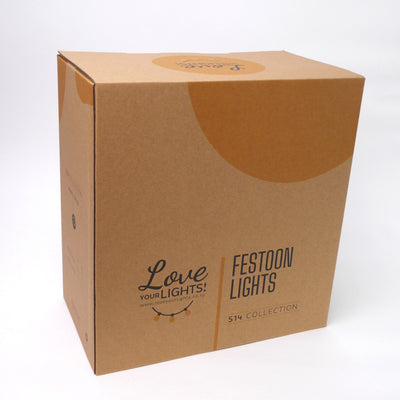 Dimmable Festoon Lights | 5.5m 10 Bulbs | A60 2w Clear | Flush Mount