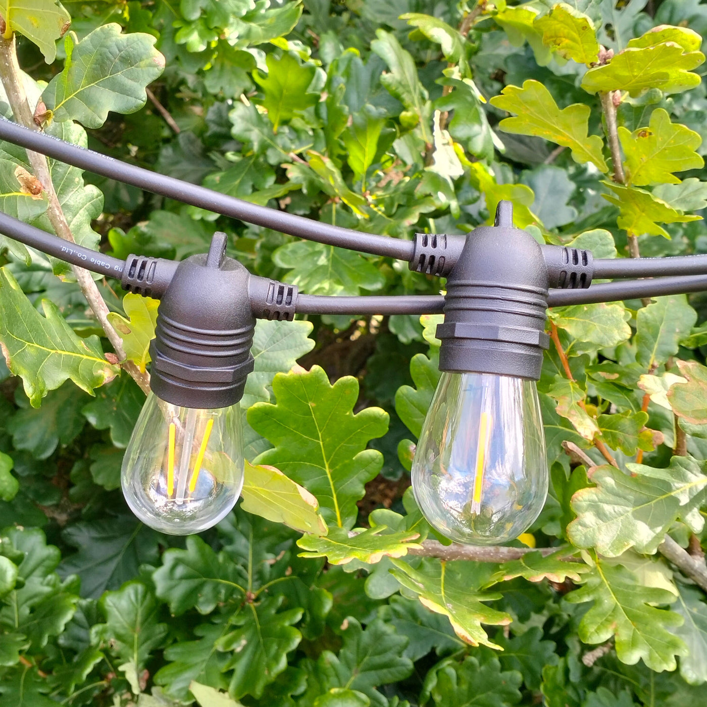 Flush Mount | 5.5m 10 Bulbs | S14 2w | Dimmable Festoon Lights