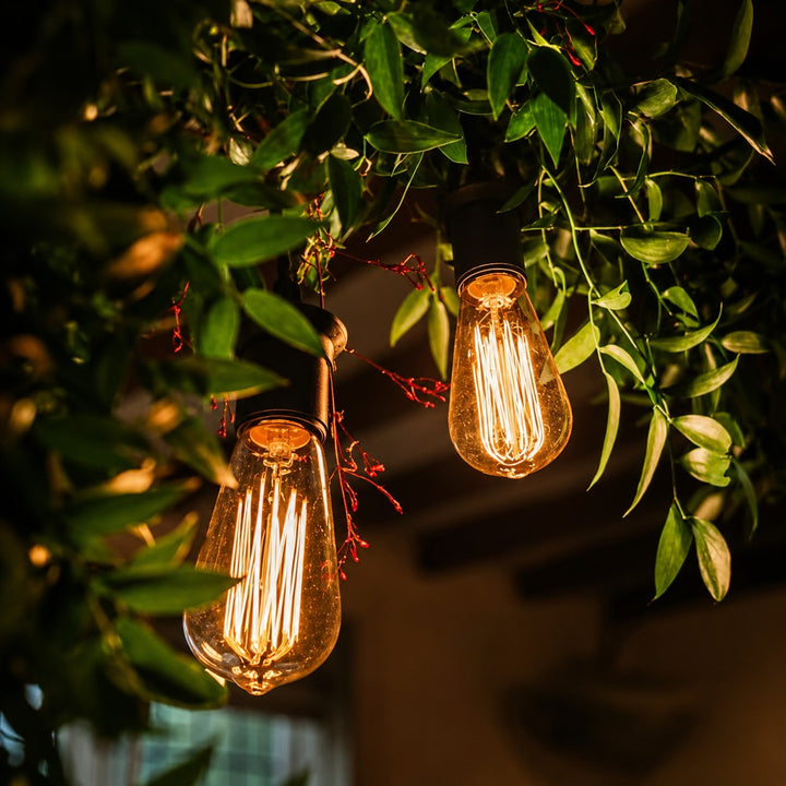 Festoon Lights | ST58 Amber Bulb | 5m 10 Bulbs | Flush Mount | Connectable