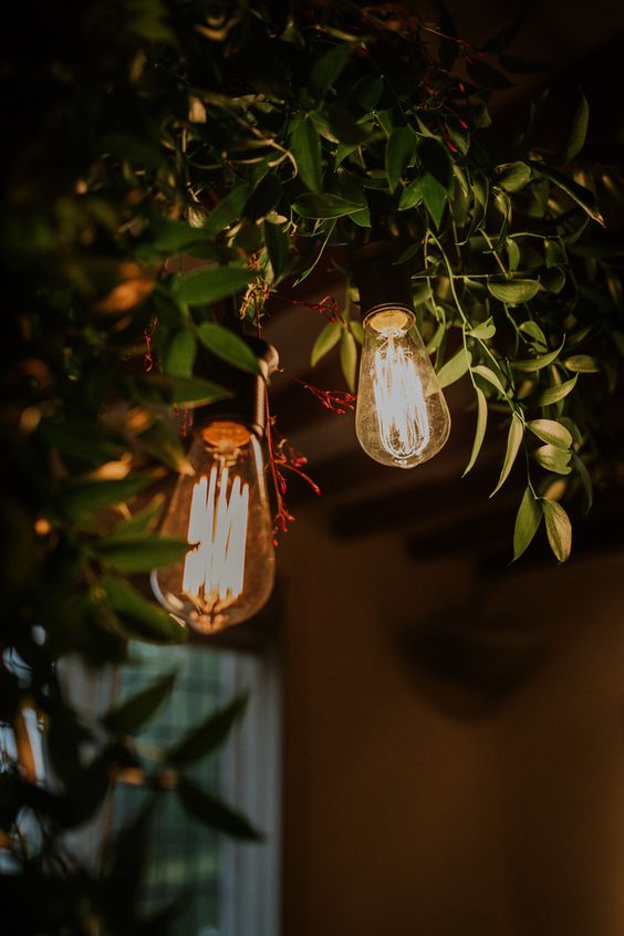festoon lights nz