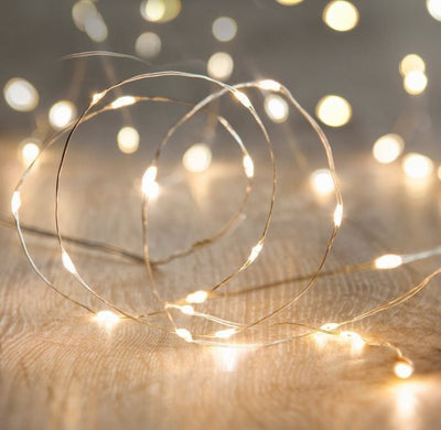 BATTERY (CR2032) SILVER WIRE 5m Warm White Seed Lights