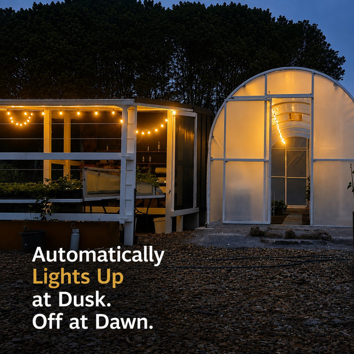 Solar S14 Festoon Lights | Drop Hang Style | 14.7m 15 Bulbs