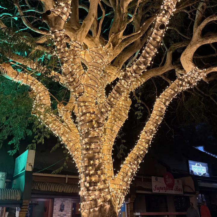 Large Outdoor Fairy Lights Tree Kit | Black Cable | 150m