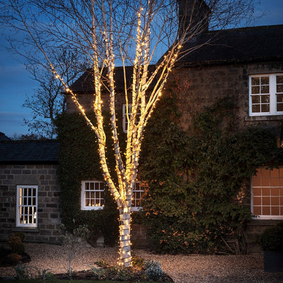 Connectable Outdoor Fairy Lights | Pro Series | Black PVC 10m