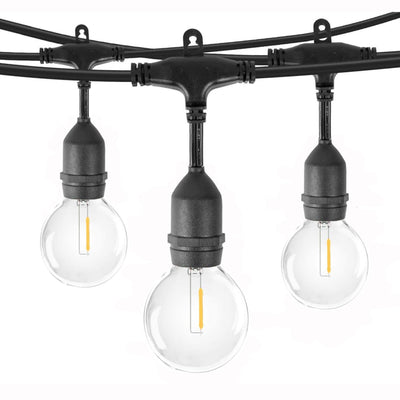 G40 Festoon Lights