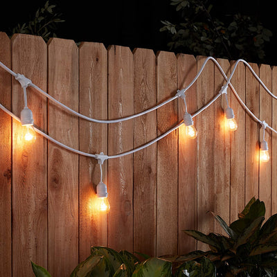 White S14 Drop Hang Festoon Lights Glass Bulb from Love Your Lights