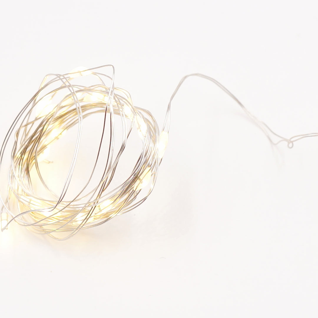 Seed Fairy Lights
