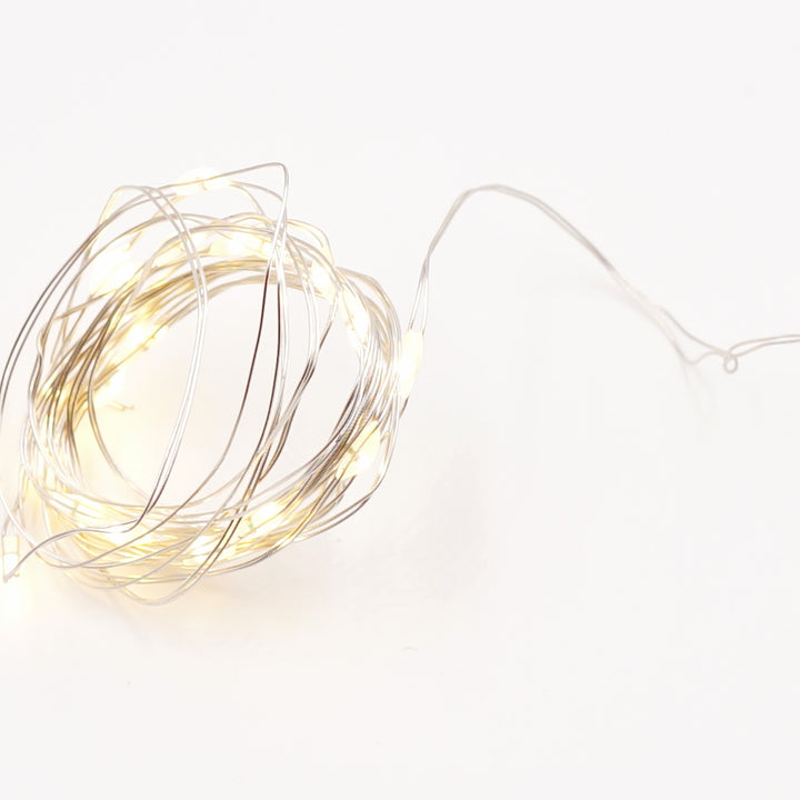 Seed Fairy Lights